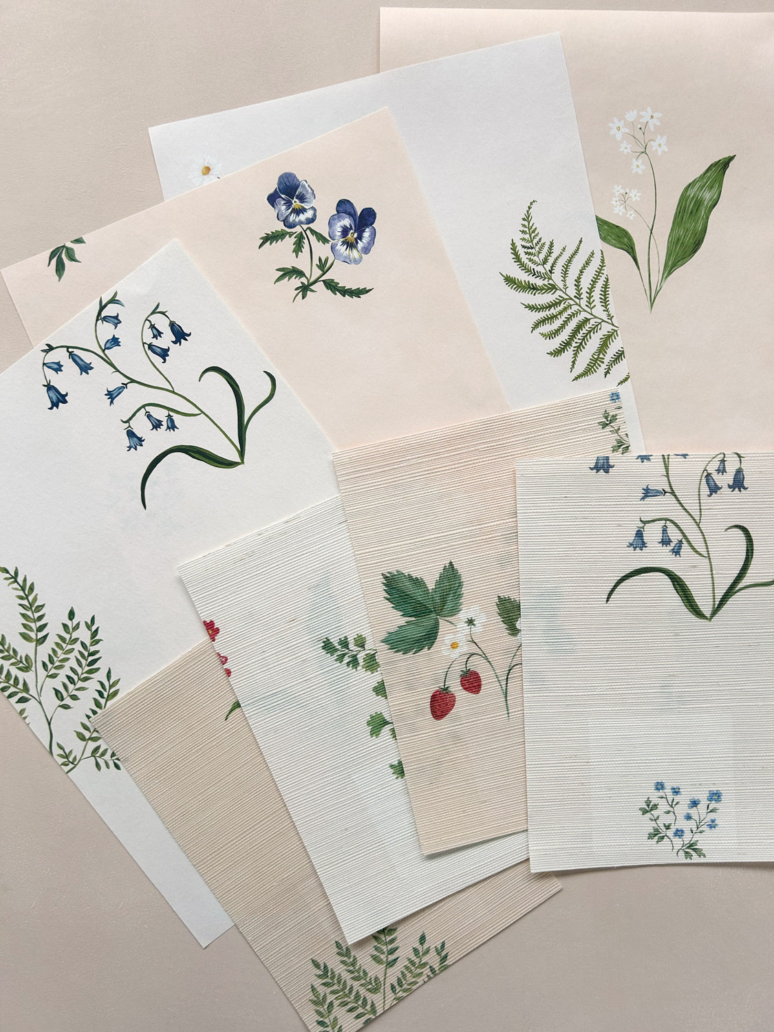Herbarium Collection Sample Pack
