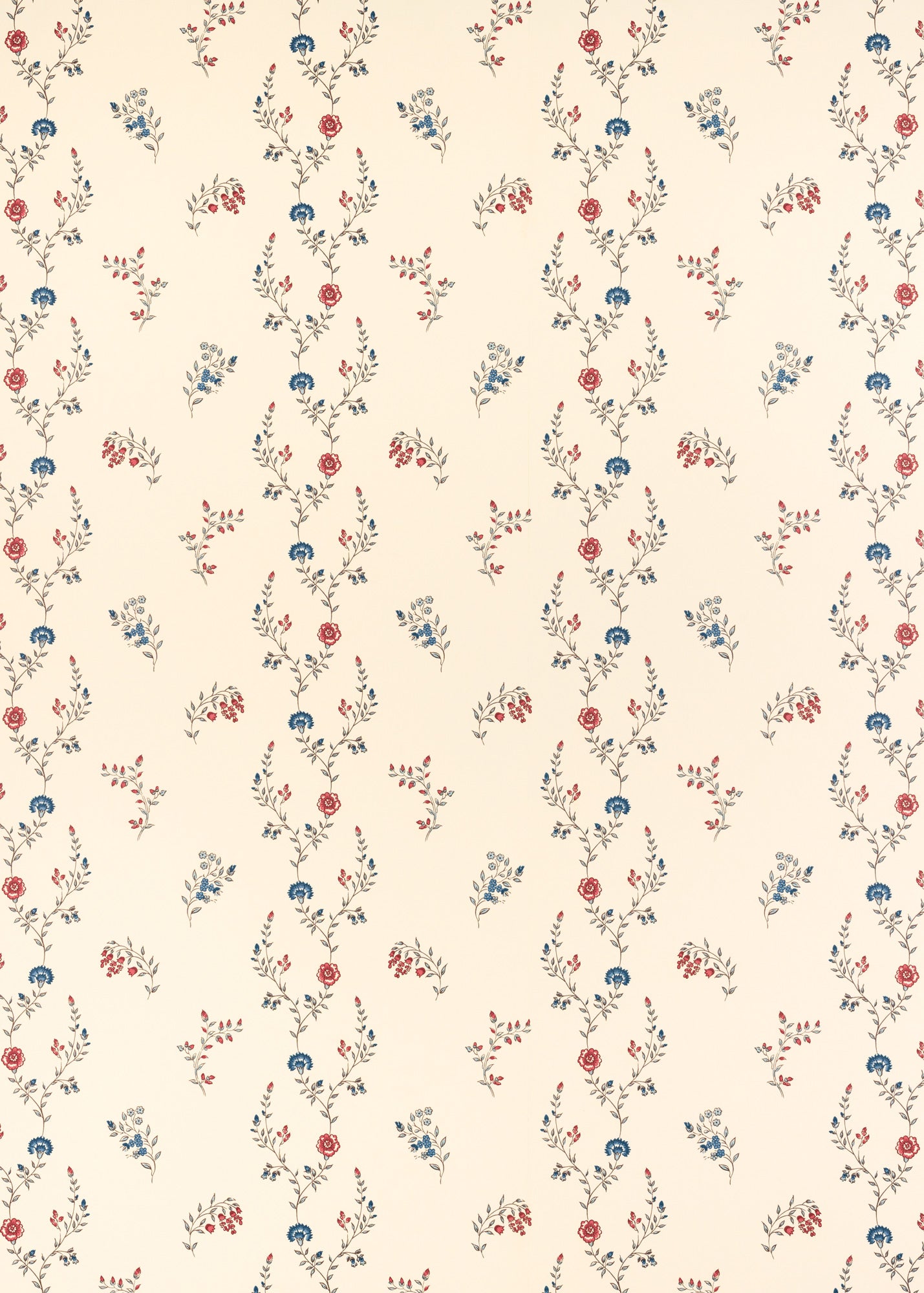 Indienne Vine Wallpaper ~ Ruby / Indigo