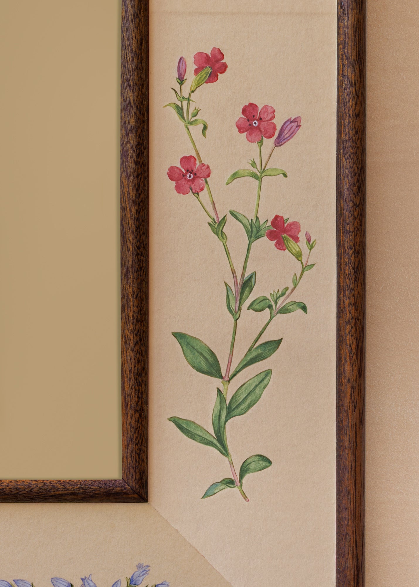 Botanica Mirror