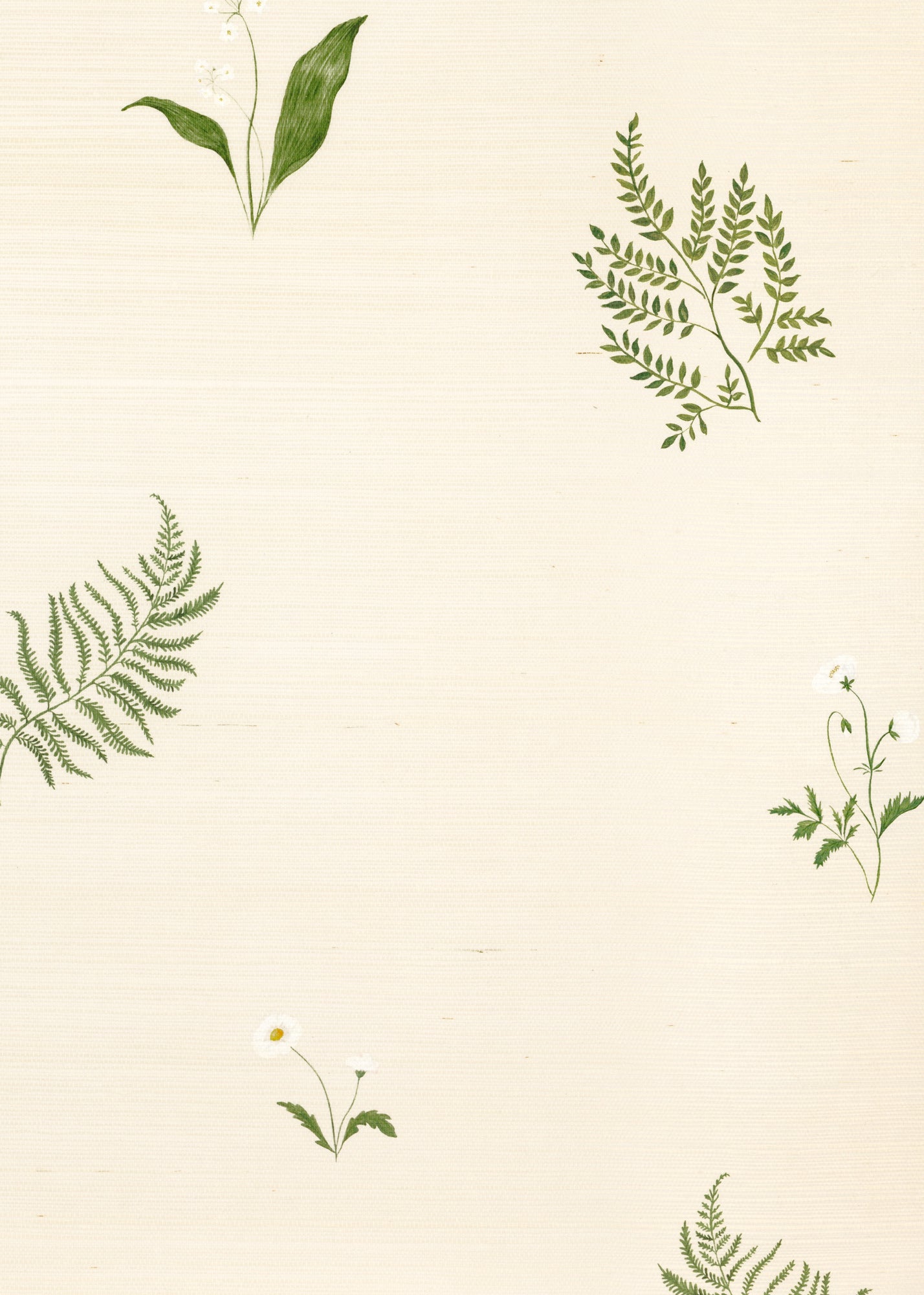 Herbarium Forest Grasscloth Wallpaper ~ Ivory