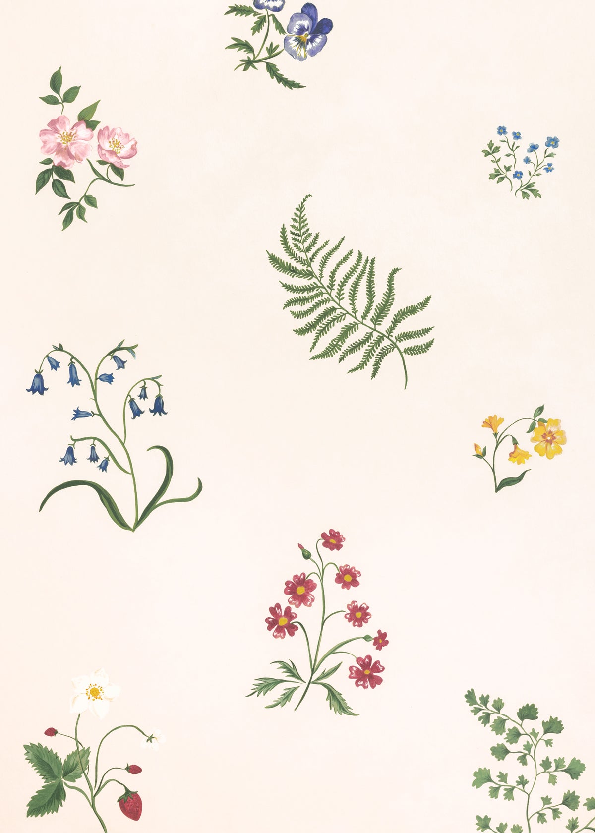 Herbarium Wildflower Wallpaper ~ Ivory