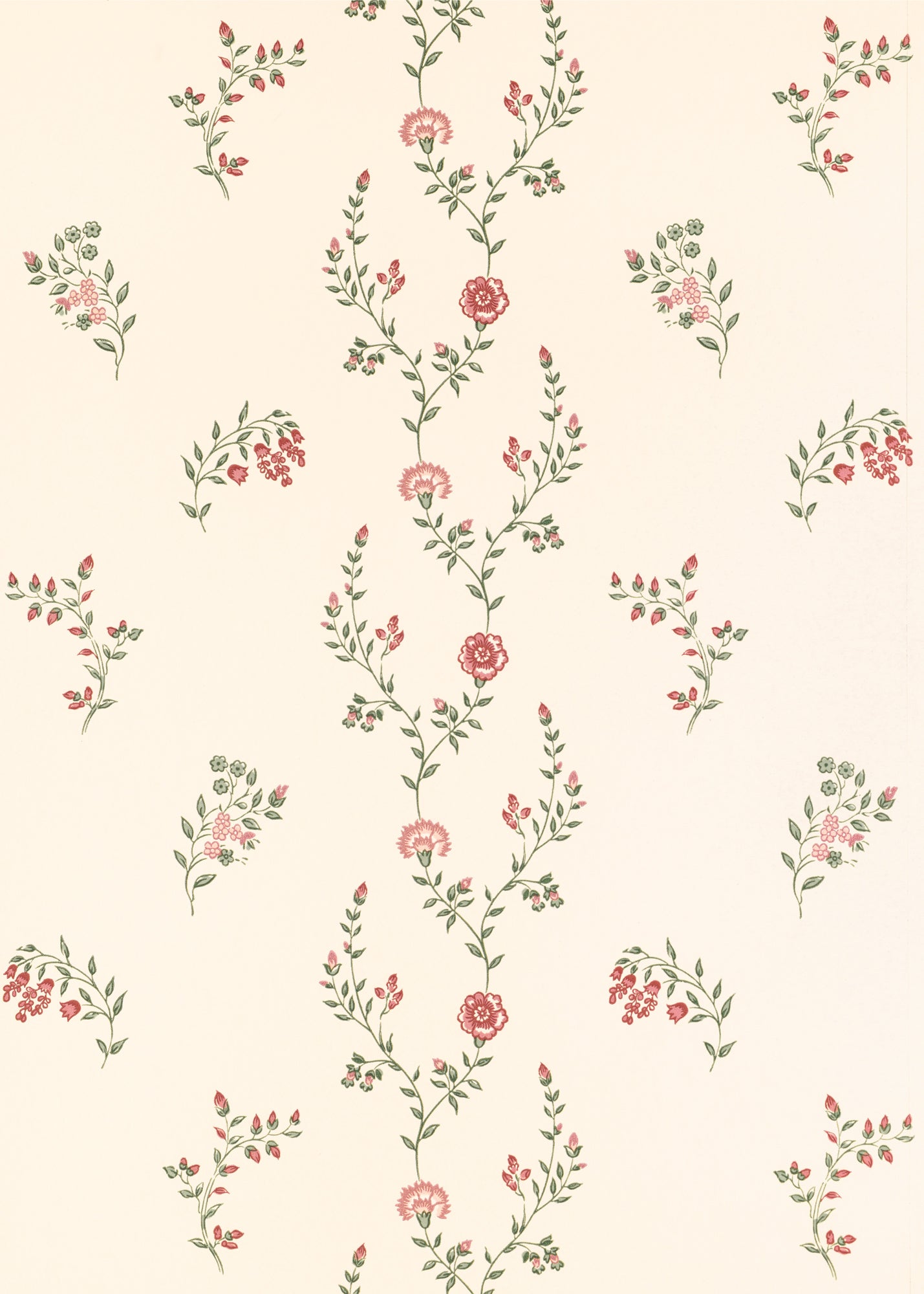 Indienne Vine Wallpaper ~ Crimson / Rose