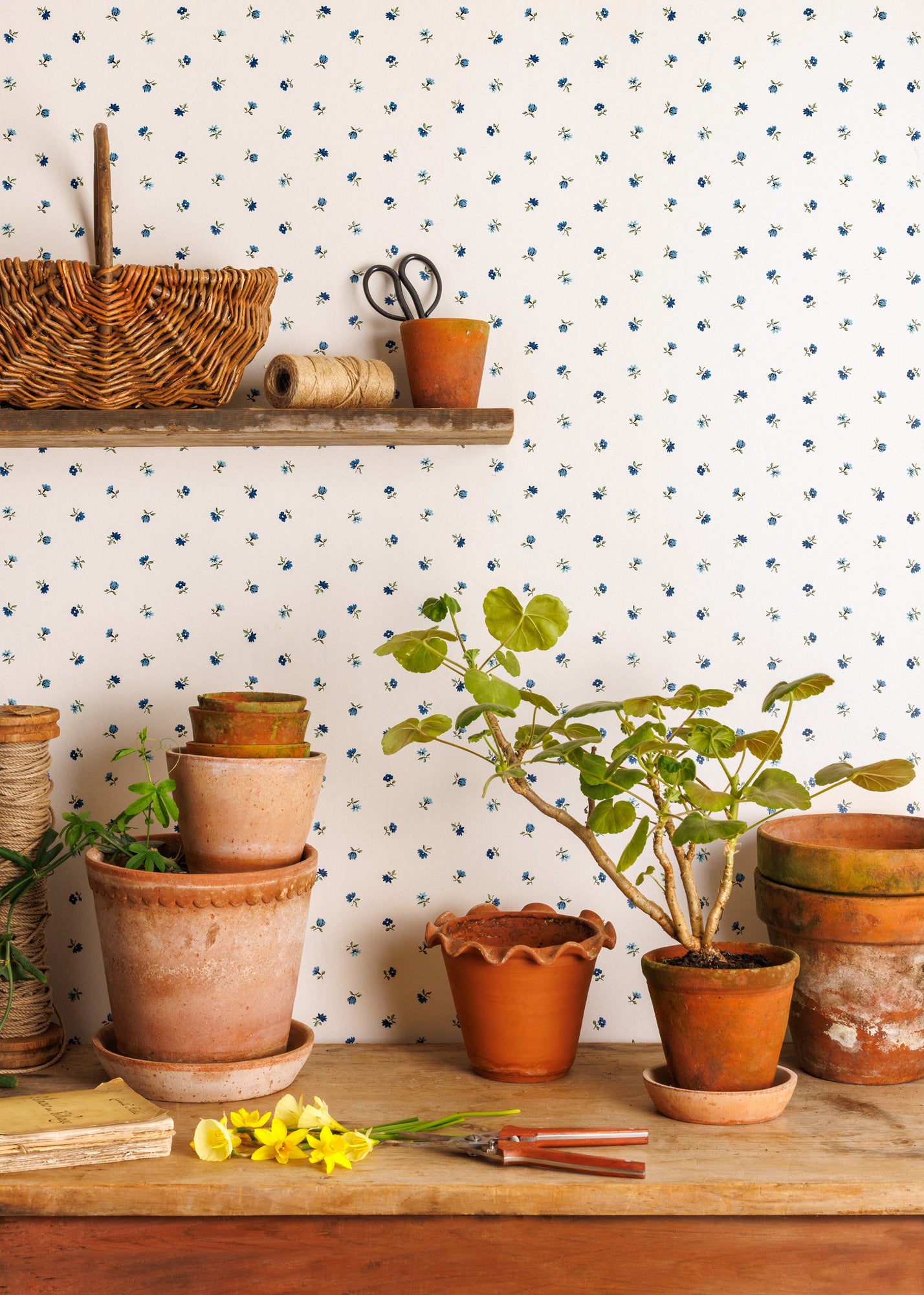 Petites Fleurs Wallpaper ~ Delft