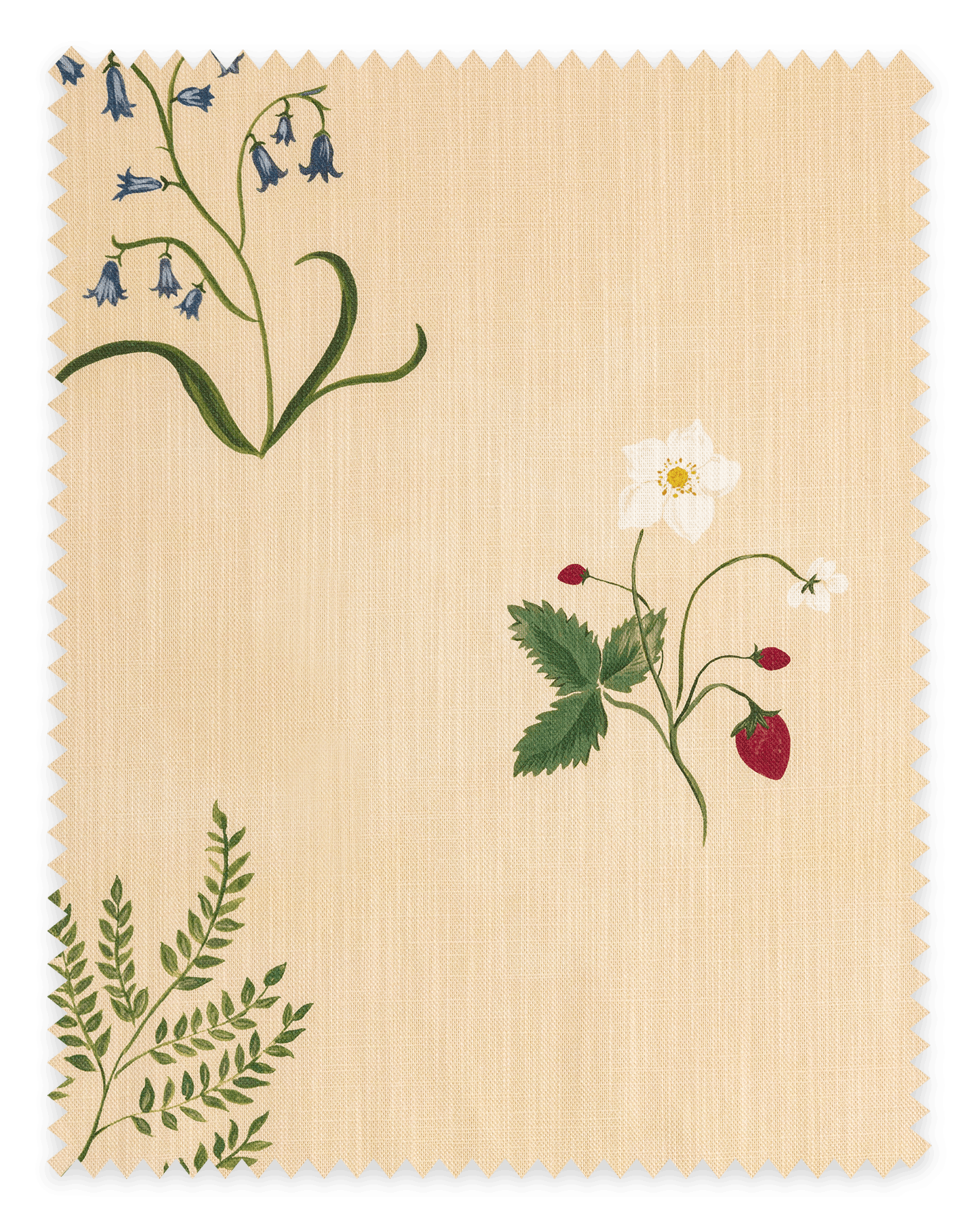 Herbarium Wildflower Fabric ~ Blush