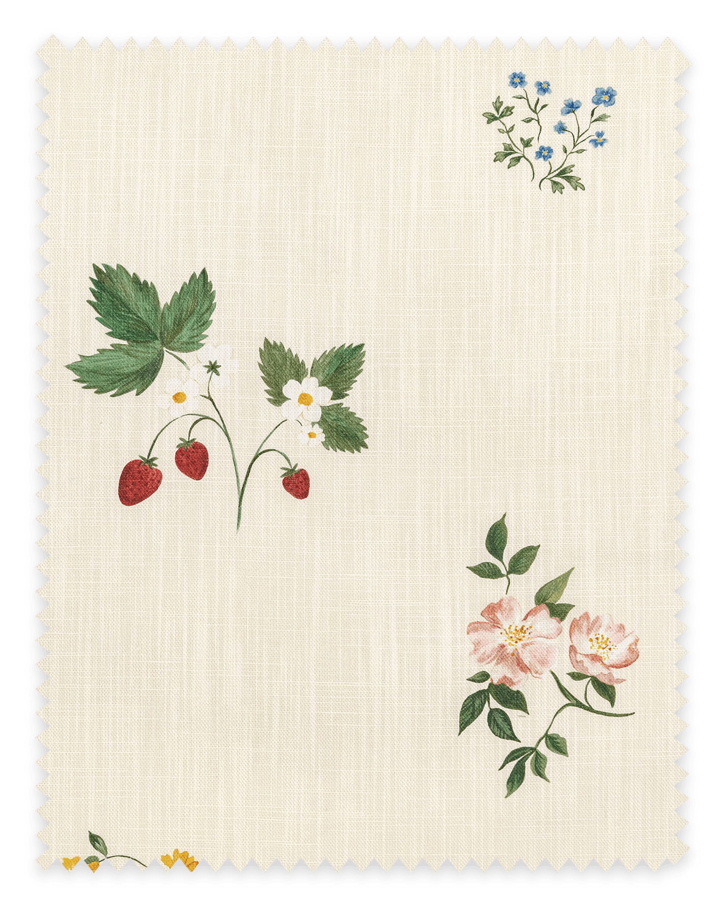 Herbarium Wildflower Fabric ~Ivory