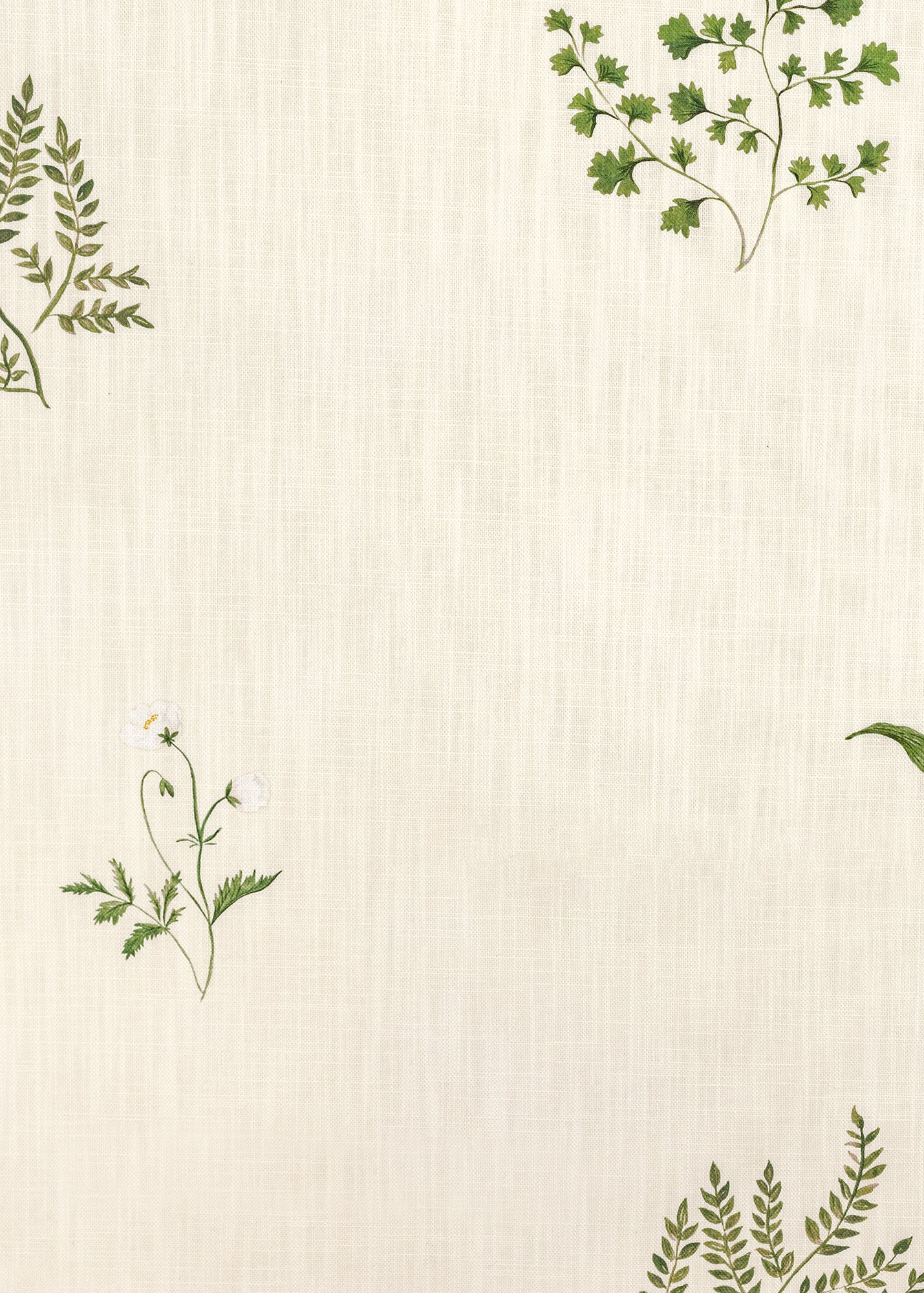 Herbarium Forest Fabric ~Ivory