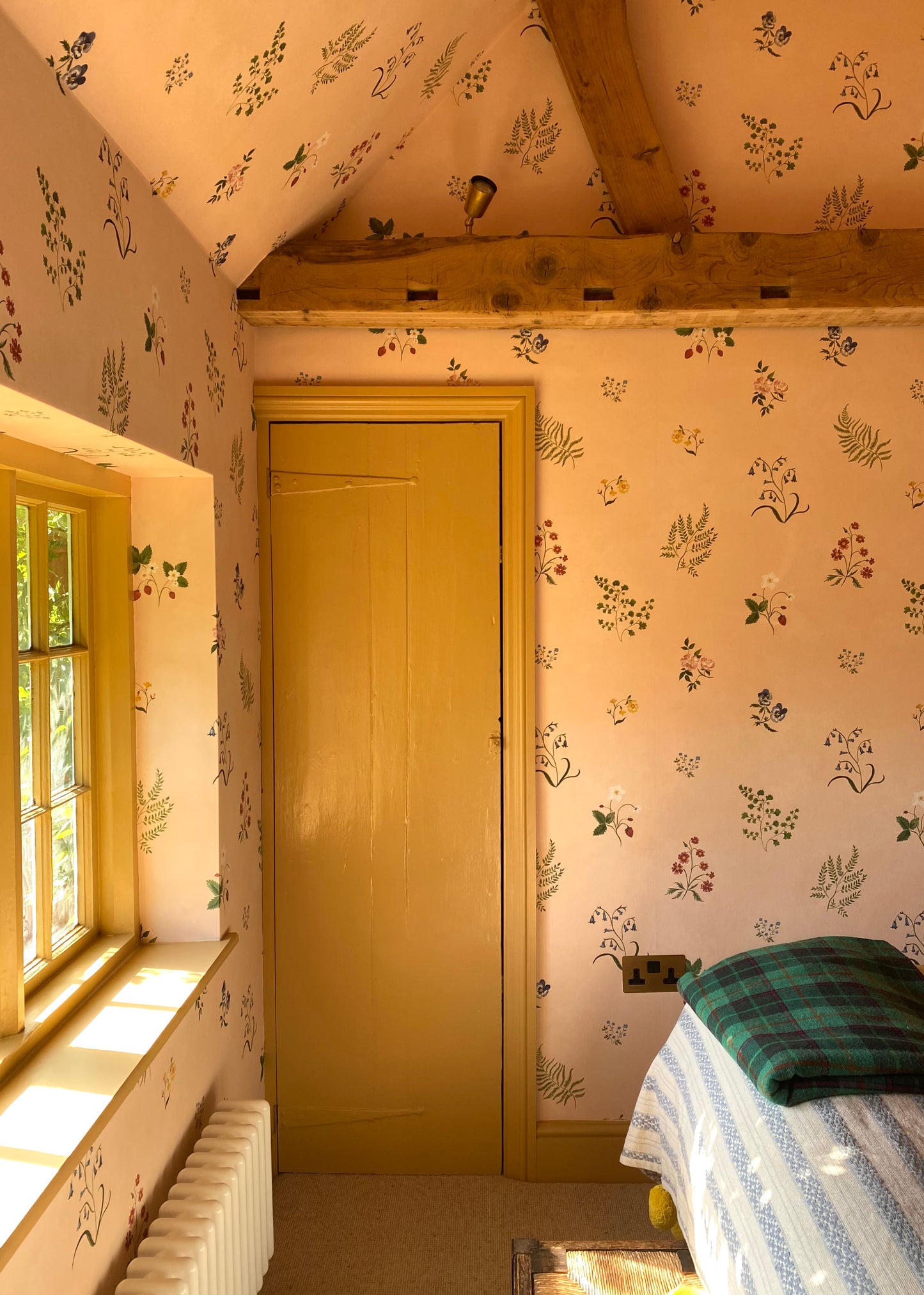 Herbarium Wildflower Wallpaper ~ Blush