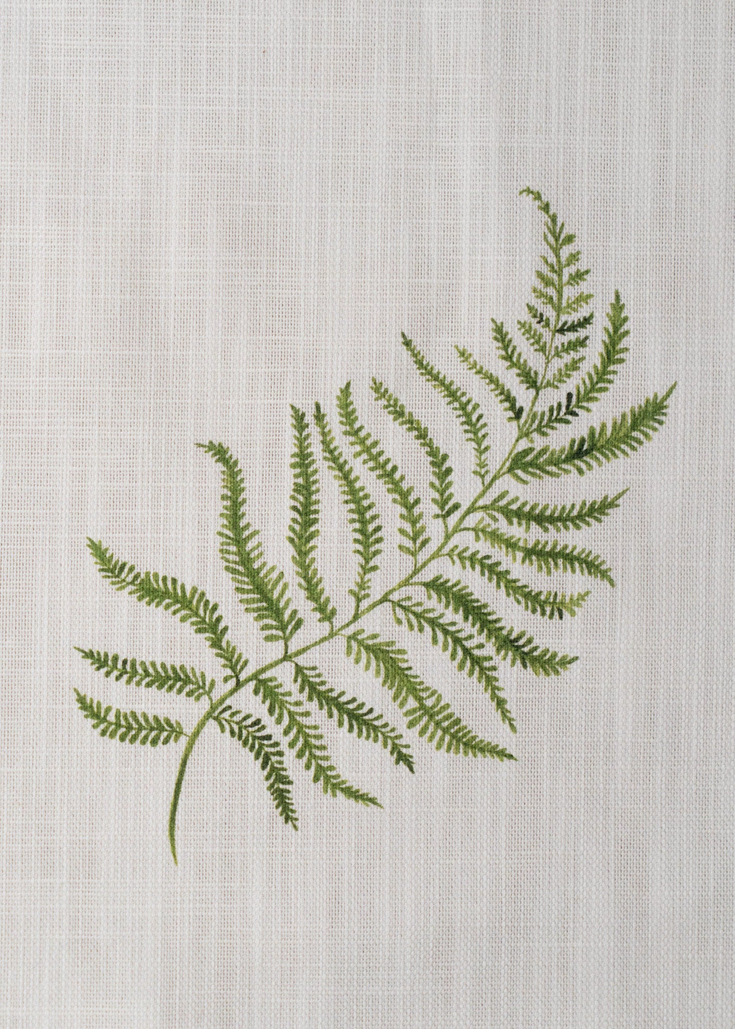 Herbarium Forest Fabric ~Ivory