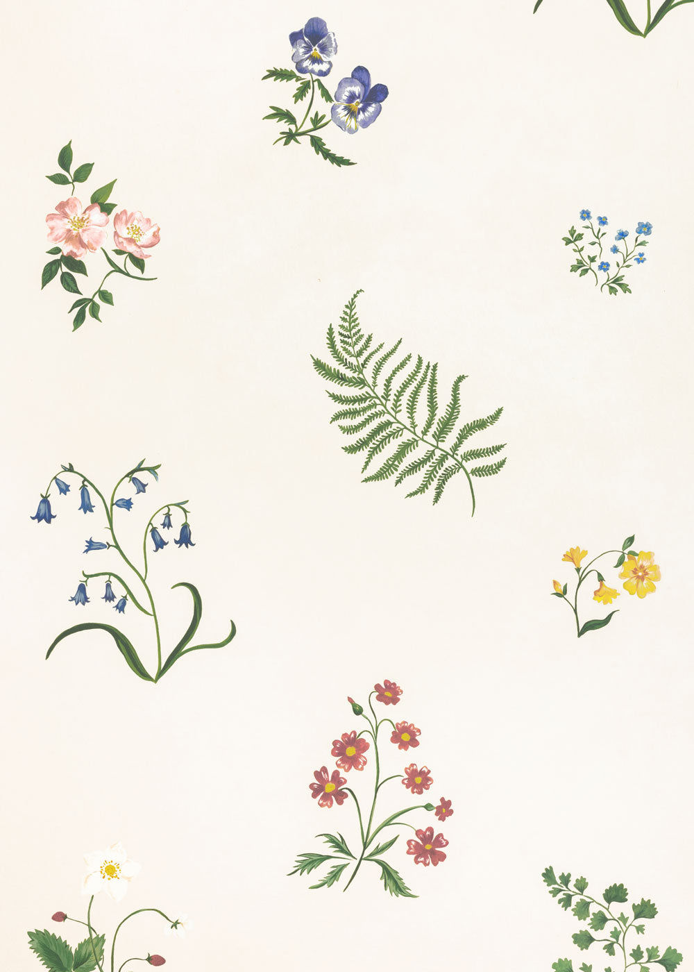Herbarium Wildflower Wallpaper ~ Ivory