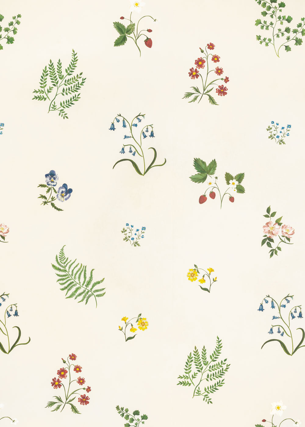 Herbarium Wildflower Wallpaper ~ Ivory
