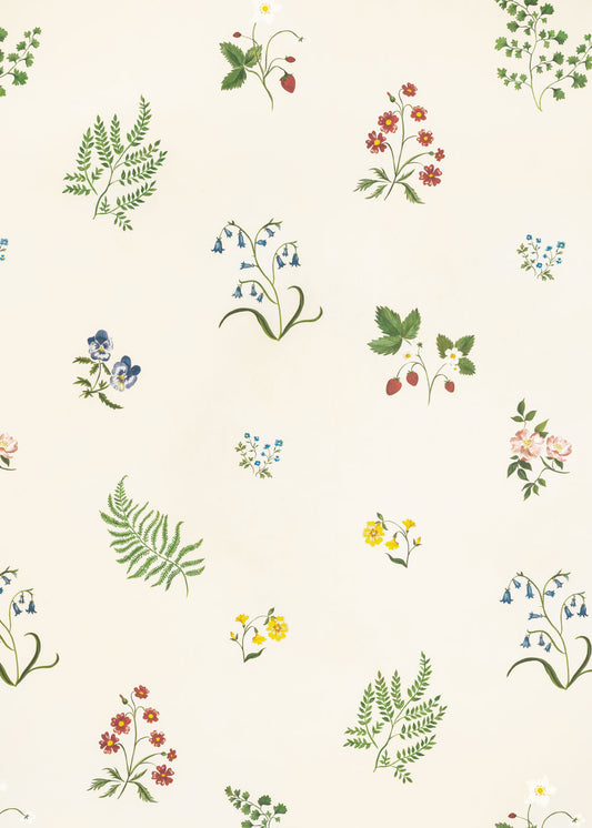 Herbarium Wildflower Wallpaper ~ Ivory