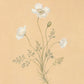 Botanica Print Set