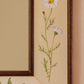 Botanica Mirror