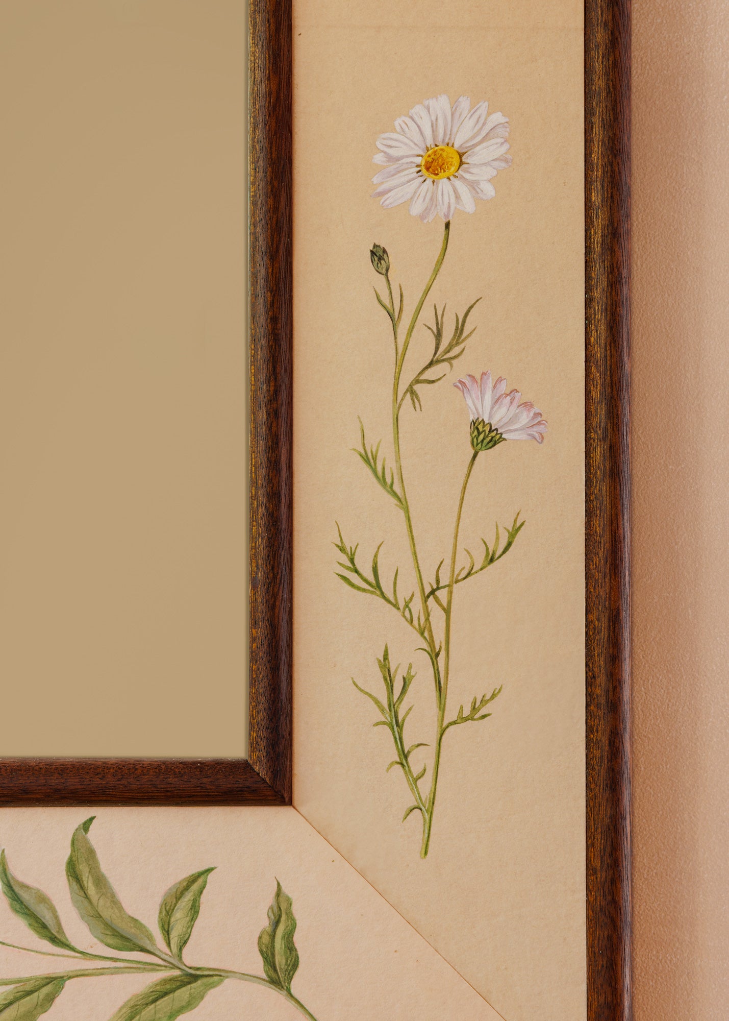 Botanica Mirror