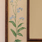 Botanica Mirror