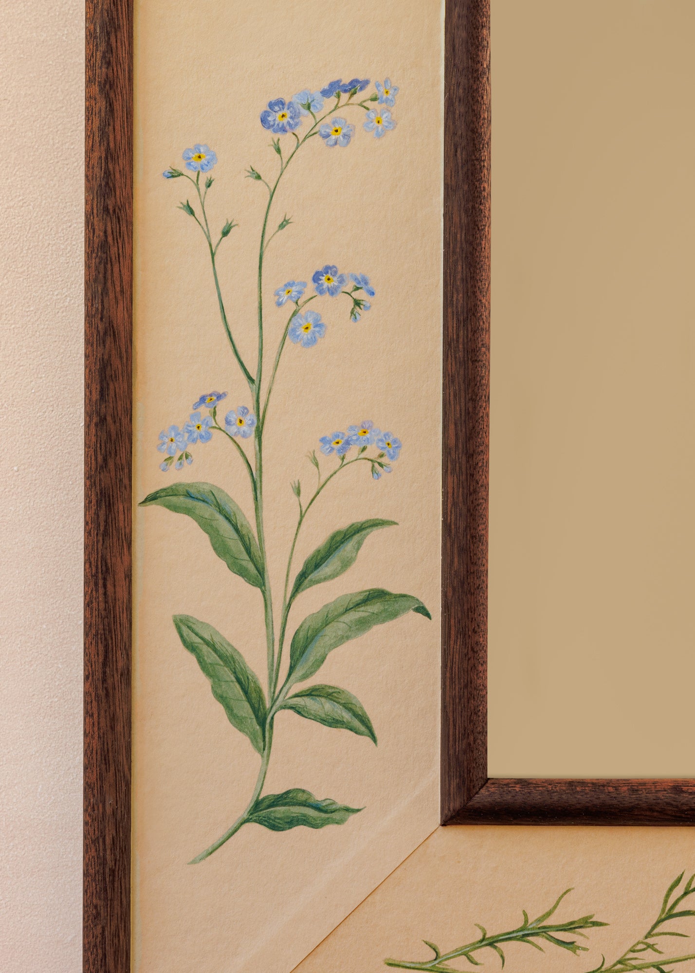 Botanica Mirror
