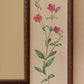 Botanica Mirror
