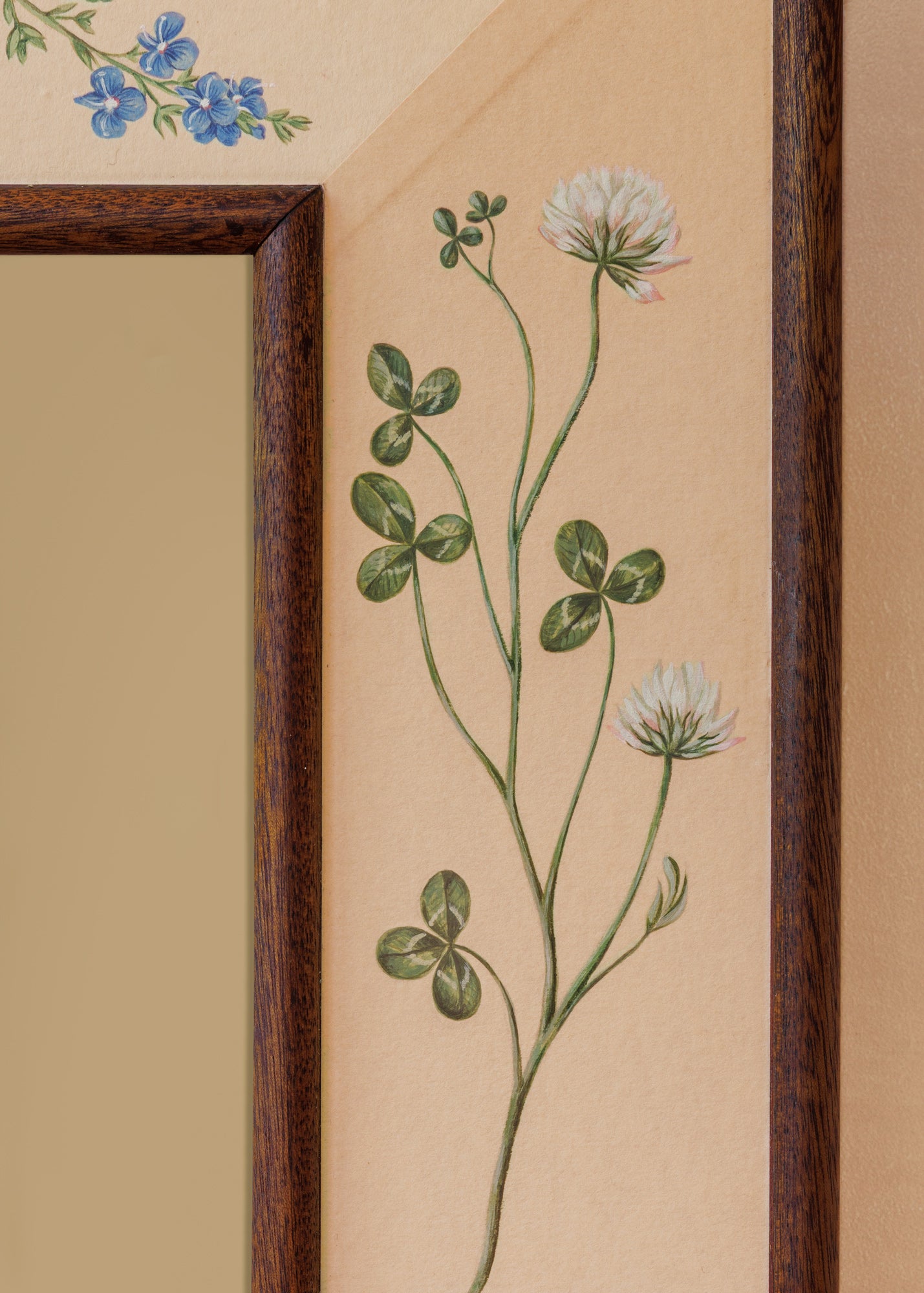 Botanica Mirror