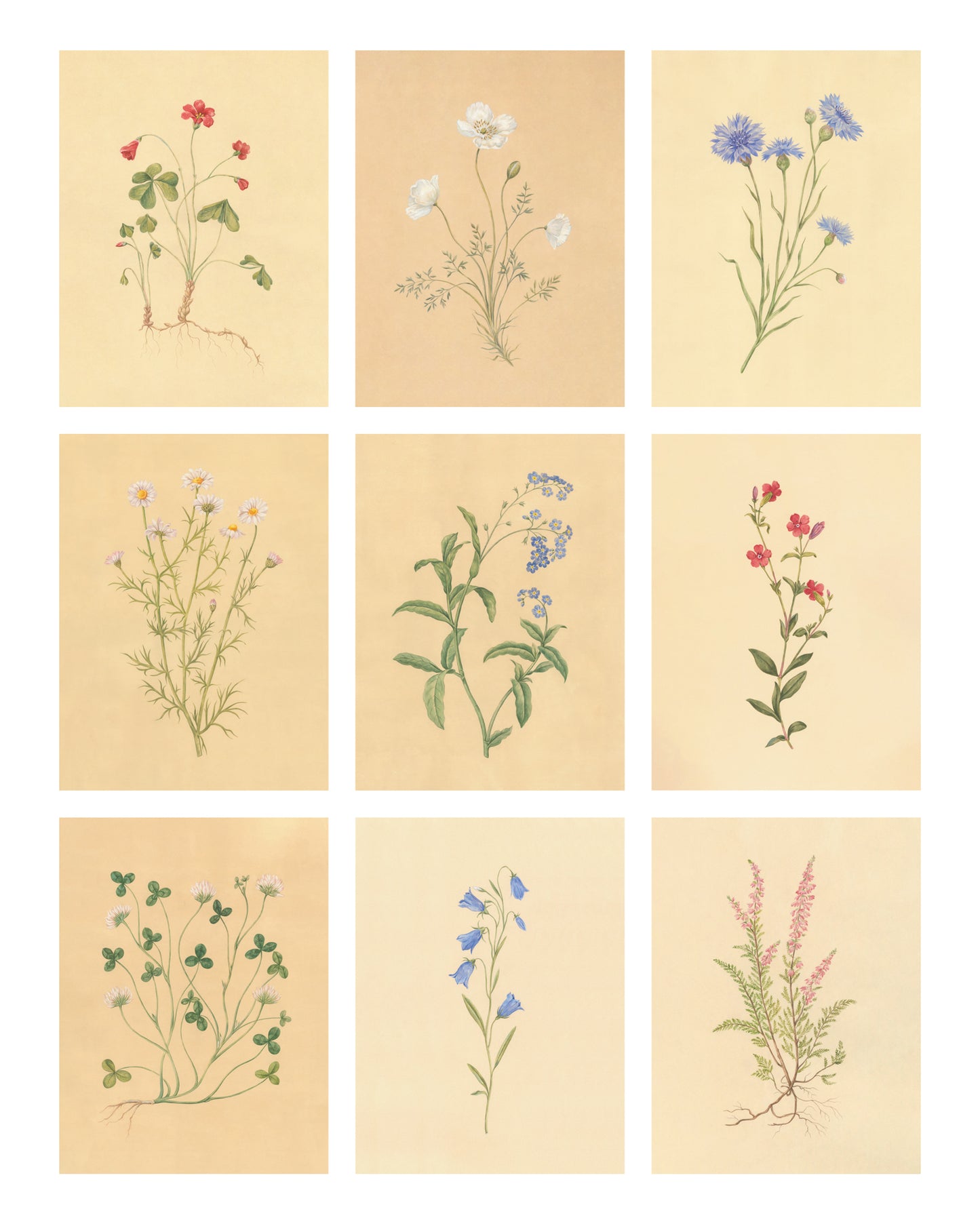 Botanica Print Set