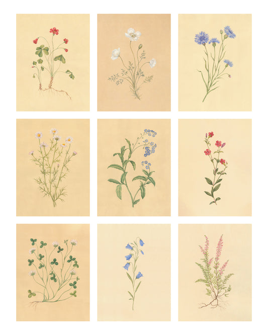 Botanica Print Set