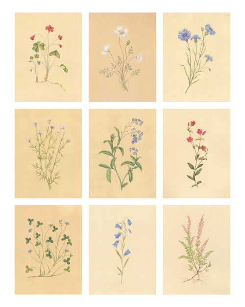 Botanica Print Set