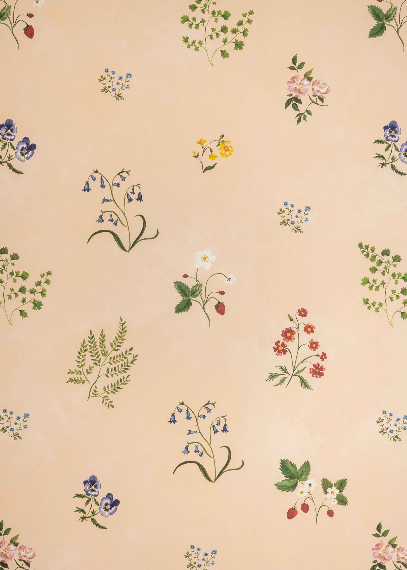 Herbarium Wildflower Wallpaper ~ Blush
