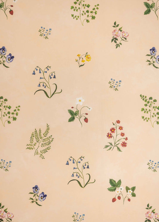 Herbarium Wildflower Wallpaper ~ Blush