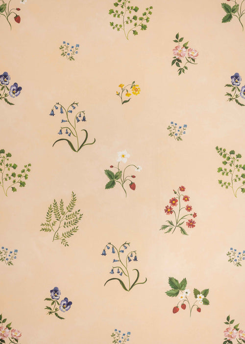 Herbarium Wildflower Wallpaper ~ Blush