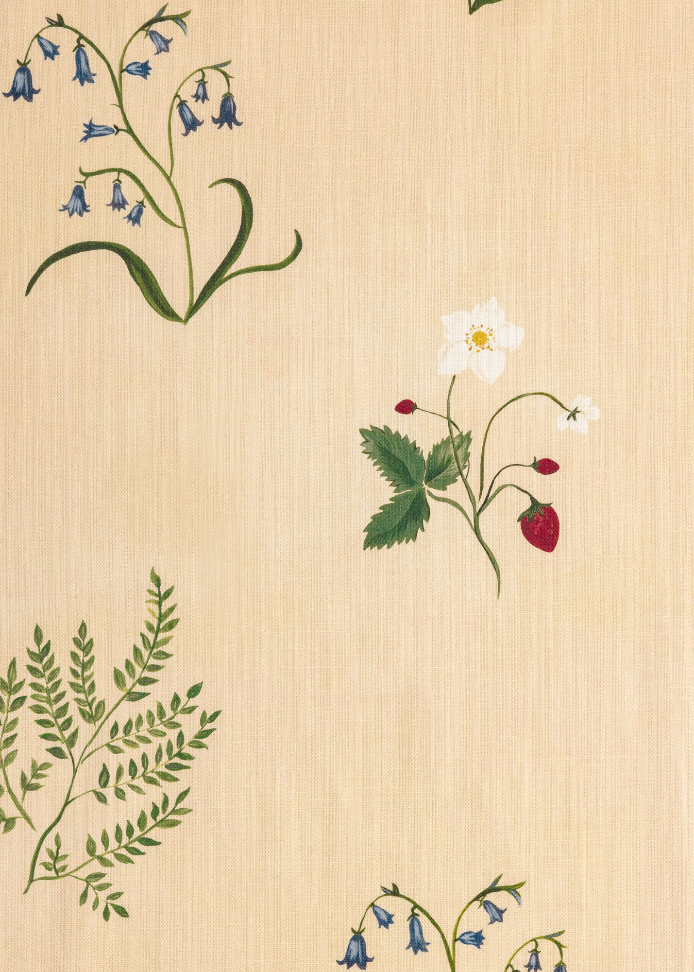 Herbarium Wildflower Fabric ~ Blush