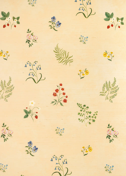 Herbarium Wildflower Grasscloth Wallpaper ~ Blush