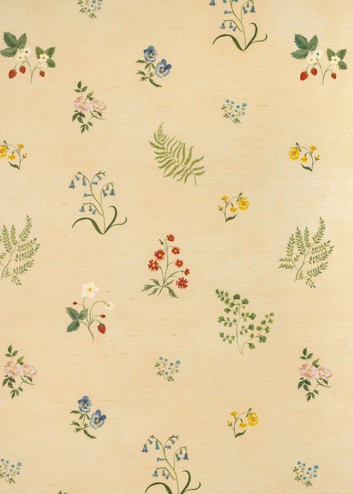 Herbarium Wildflower Grasscloth Wallpaper ~ Blush