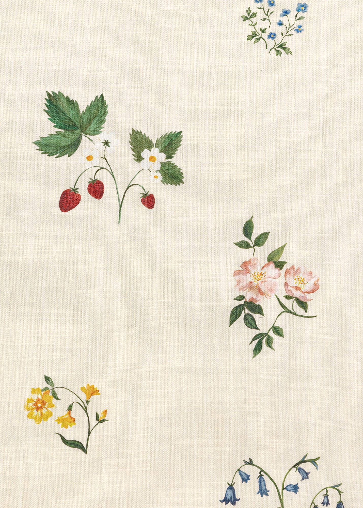 Herbarium Wildflower Fabric ~Ivory