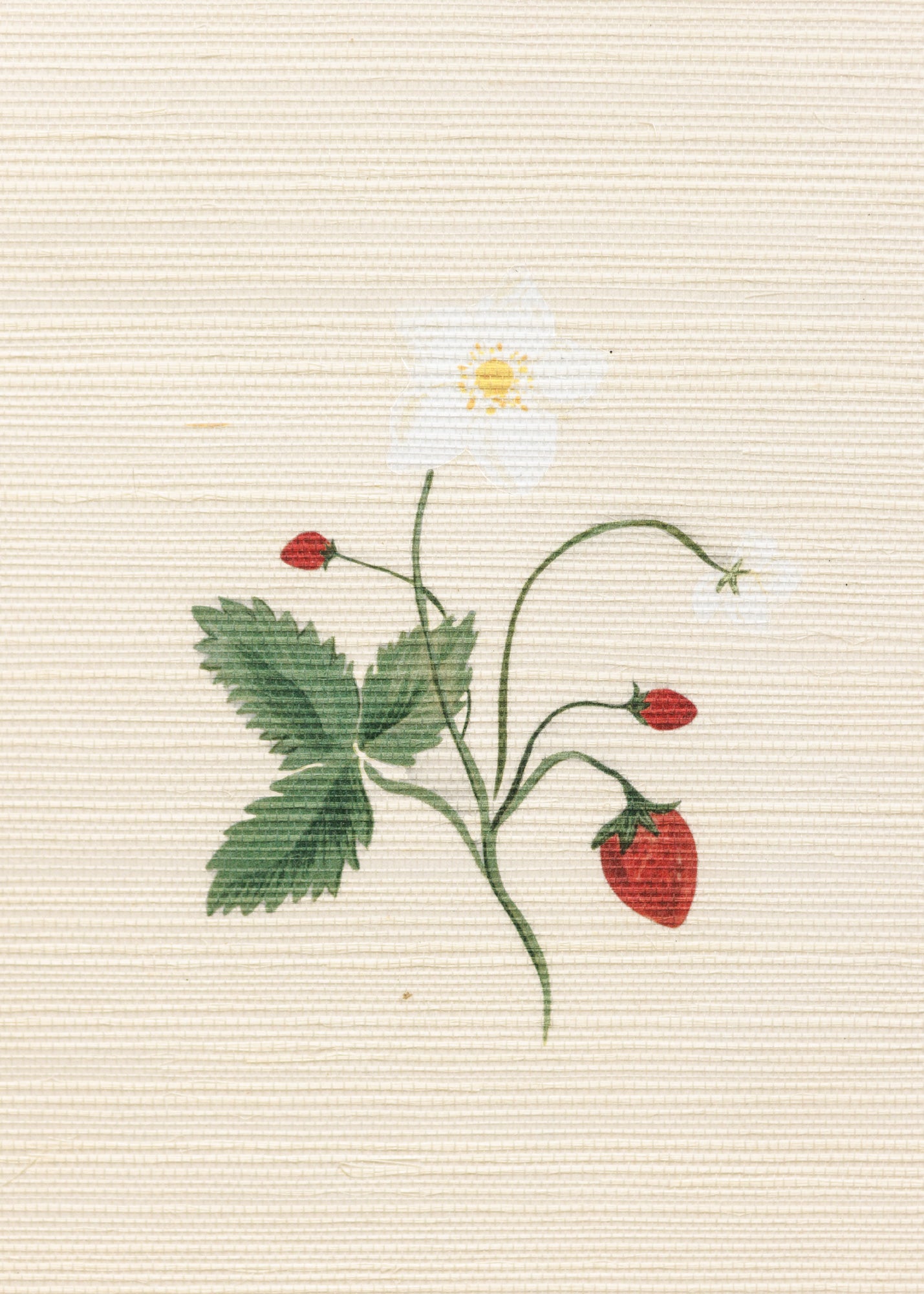Herbarium Wildflower Grasscloth Wallpaper ~ Ivory