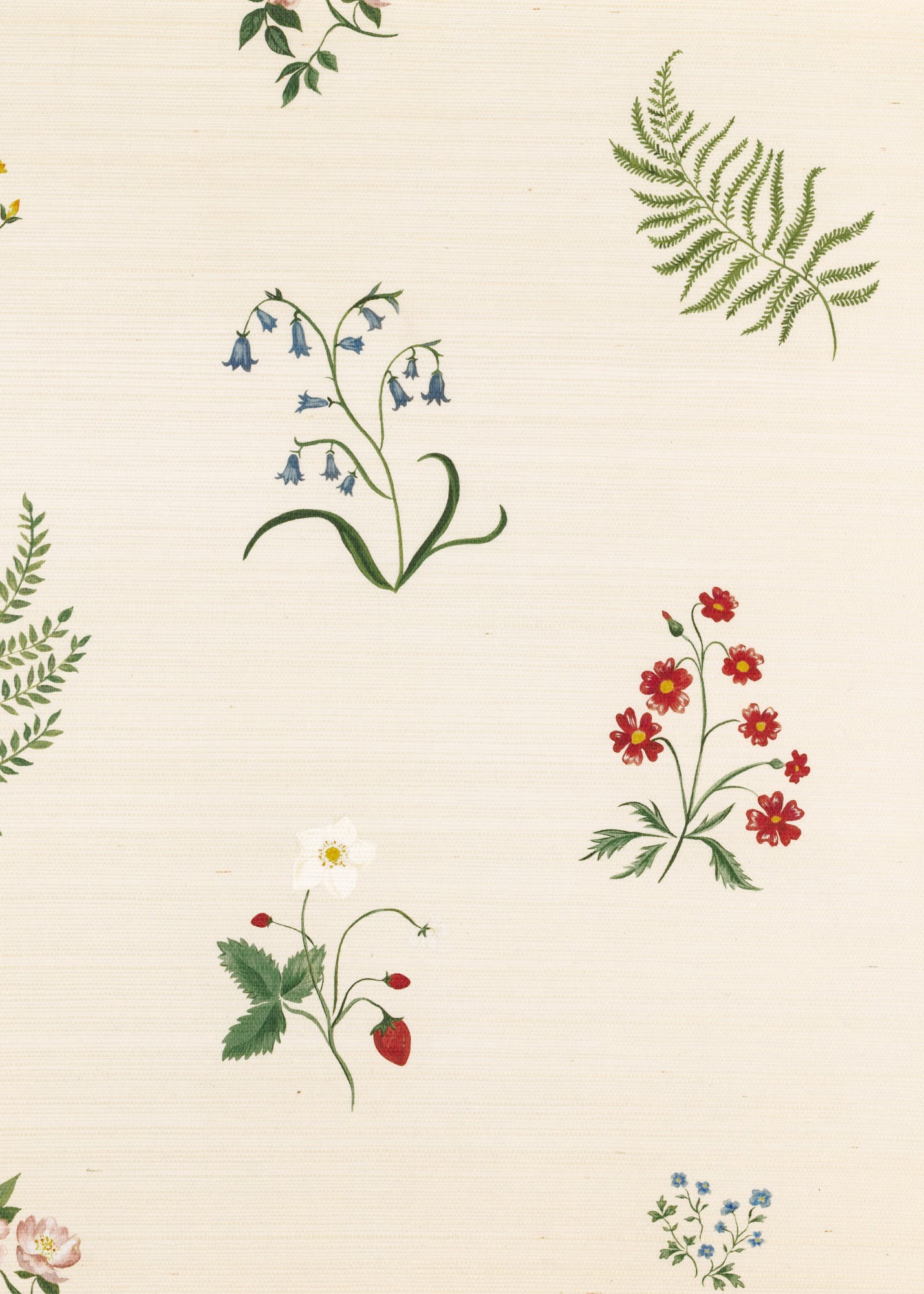 Herbarium Wildflower Grasscloth Wallpaper ~ Ivory