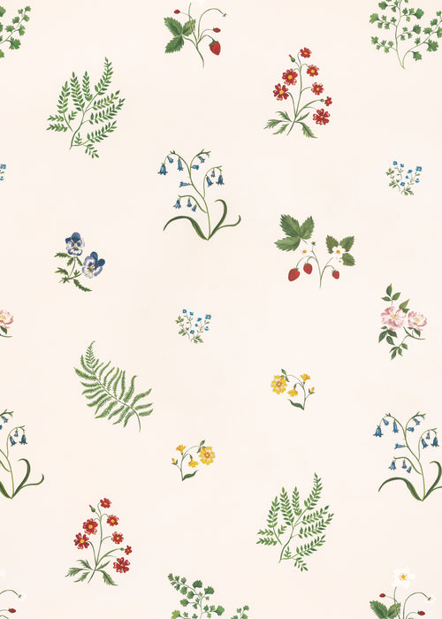 Herbarium Wildflower Wallpaper ~ Ivory