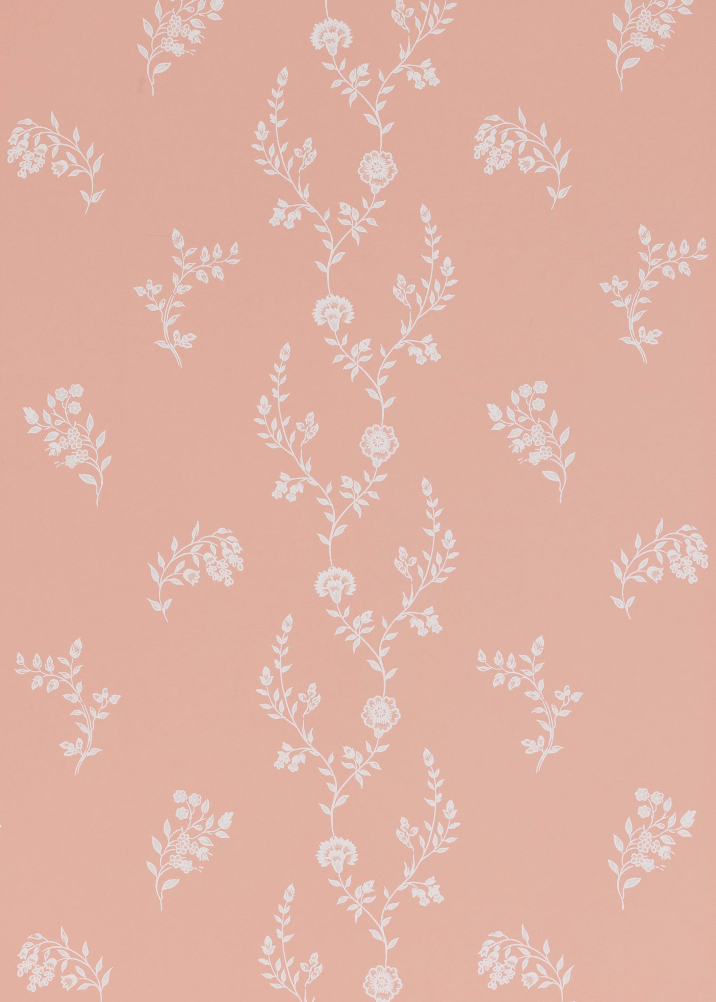 Indienne Lace Wallpaper ~ Rose Pink