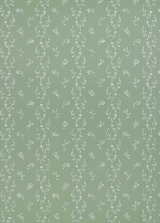 Indienne Lace Wallpaper ~ Sea Green