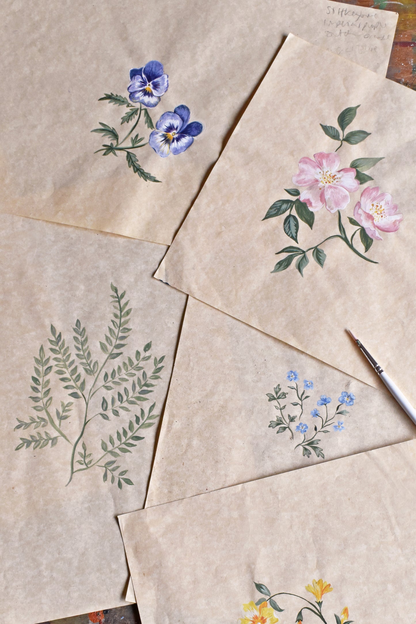Herbarium Wallpaper ~ Wildflower